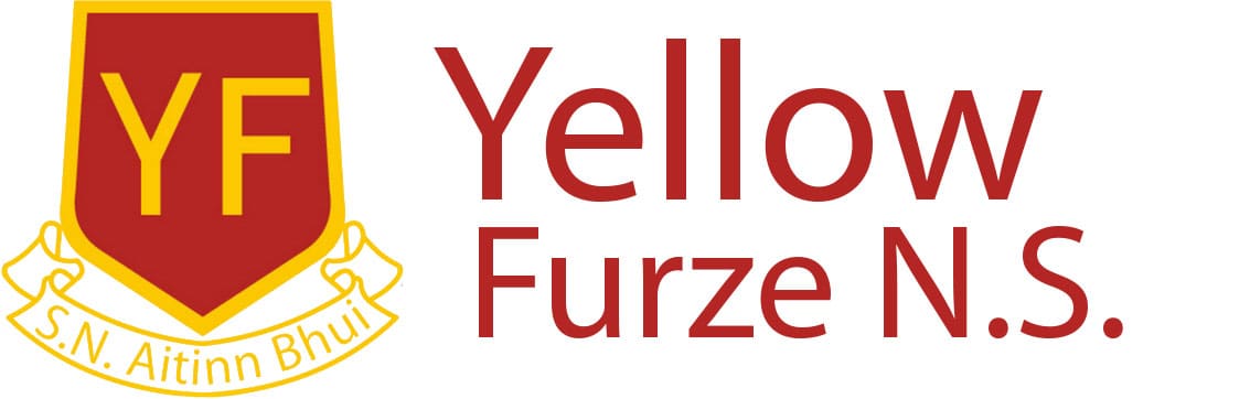 yellow-furze-ns