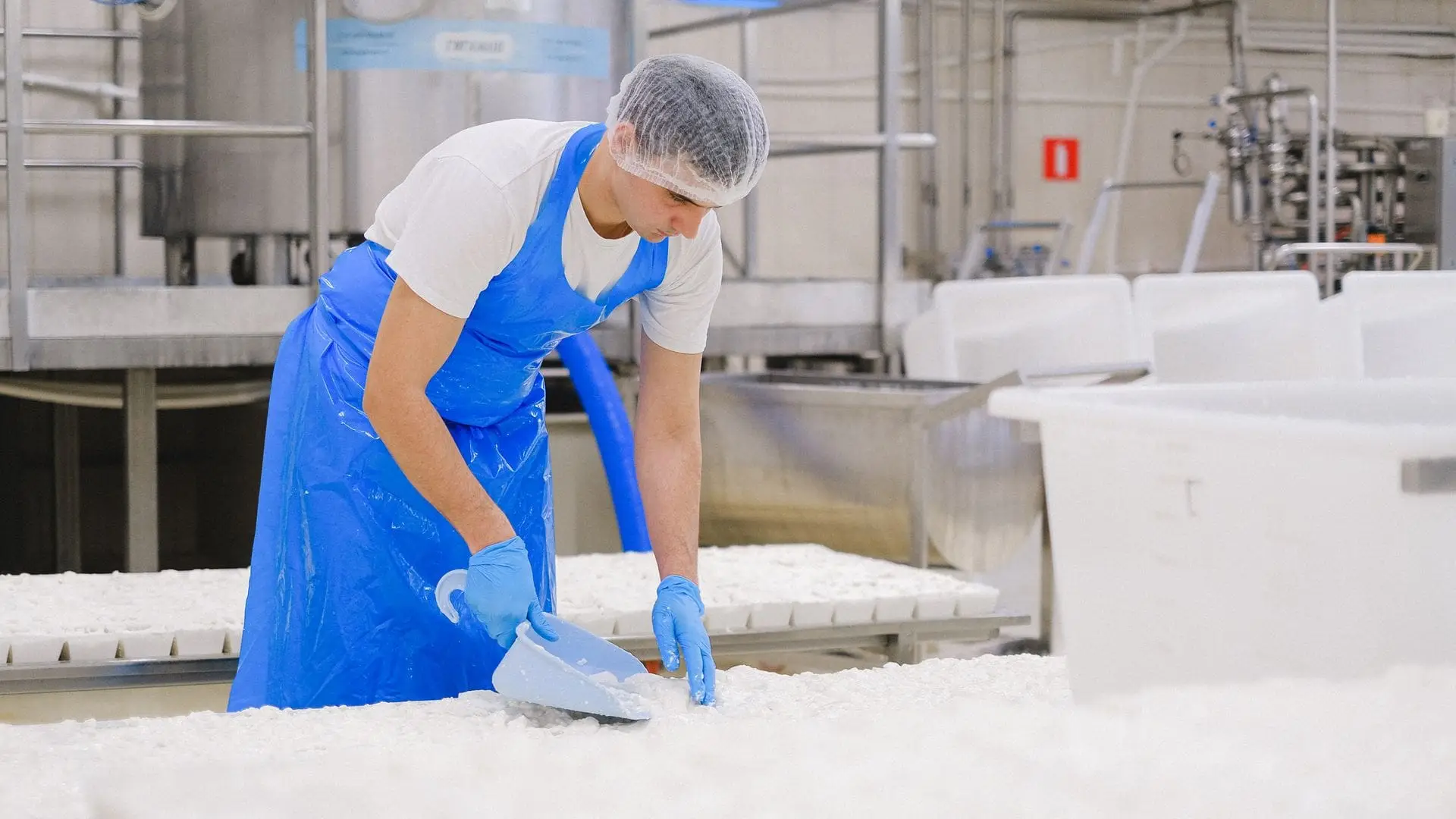 Worker in a hairnet, blue apron and gloves tending a production table in a dairy plant, with stainless steel tanks and equipment behind him