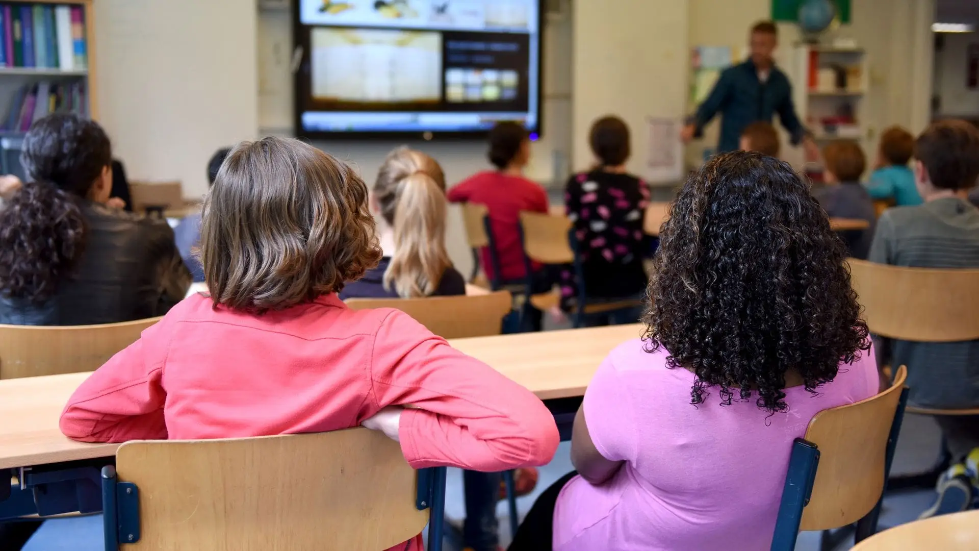 Pupils seen from behind at their desks, watching a lesson on a wall-mounted interactive display while their teacher speaks at the front of the classroom
